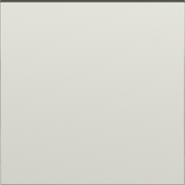 1 Gang cover champagne