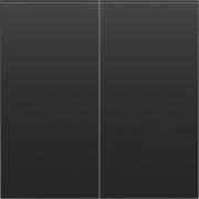 2 Gang cover matt black