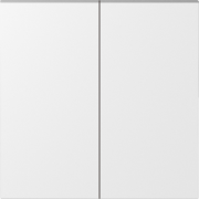 2 Gang cover matt white