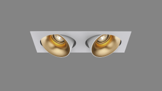 Recessed adjustable spot Nautilus Twin S white/gold